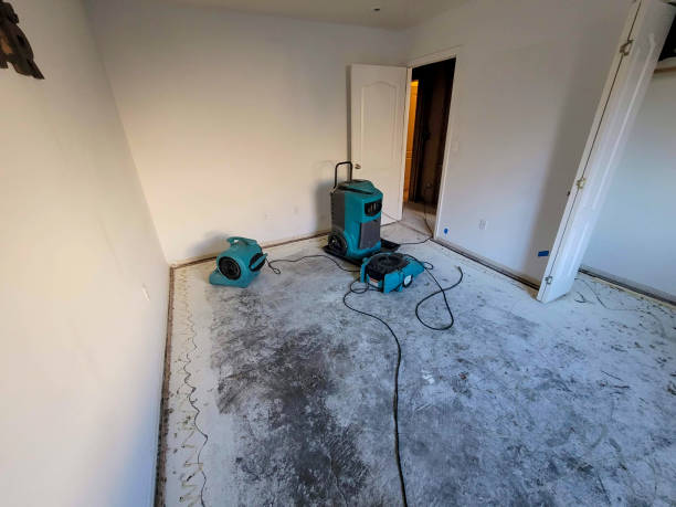 Best 24/7 water damage repair  in Cypress, CA