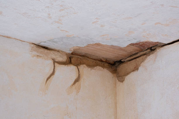 Best Water damage contractors near me  in Cypress, CA