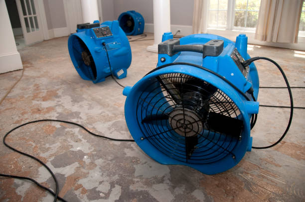 Best Flooded house restoration  in Cypress, CA