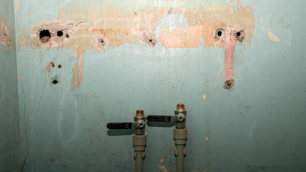Best Water damage restoration near me  in Cypress, CA