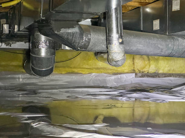 Best Water damage cleanup near me  in Cypress, CA
